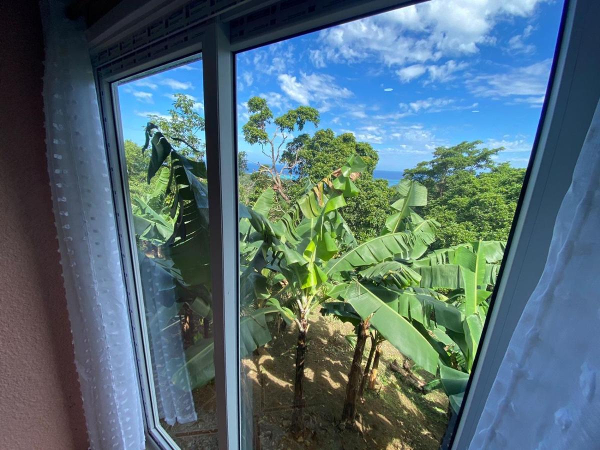 Forest View Apartment Six Huts Bagian luar foto